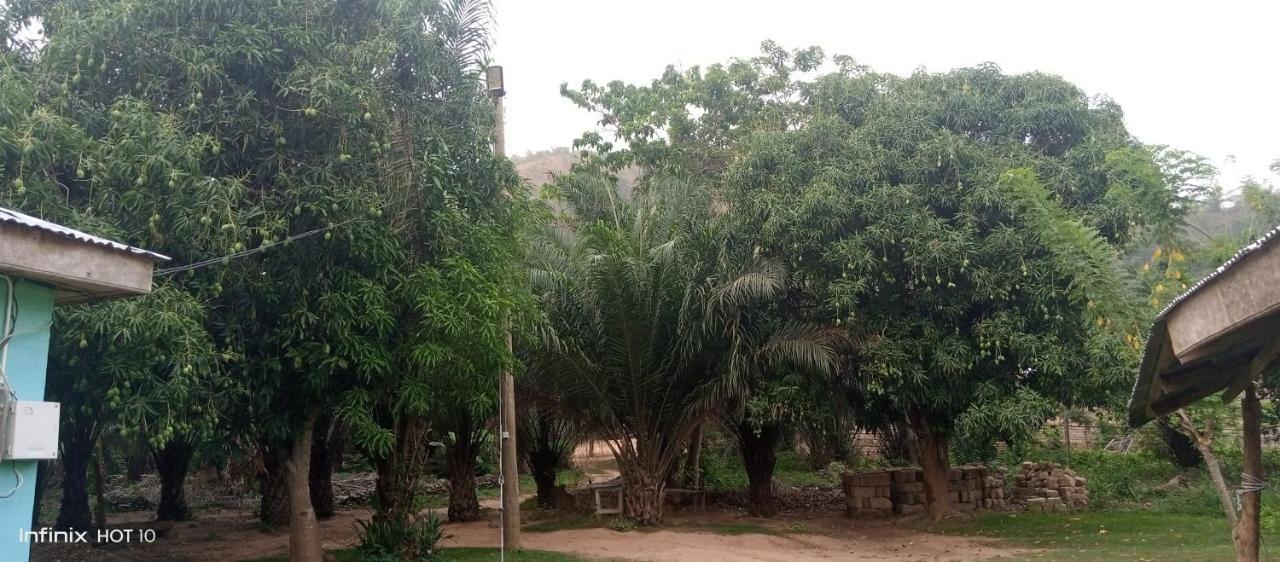 Wli Afegame Wli Waterfalls Inn מראה חיצוני תמונה