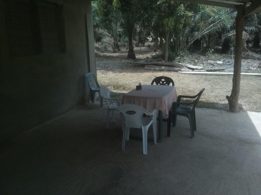Wli Afegame Wli Waterfalls Inn מראה חיצוני תמונה