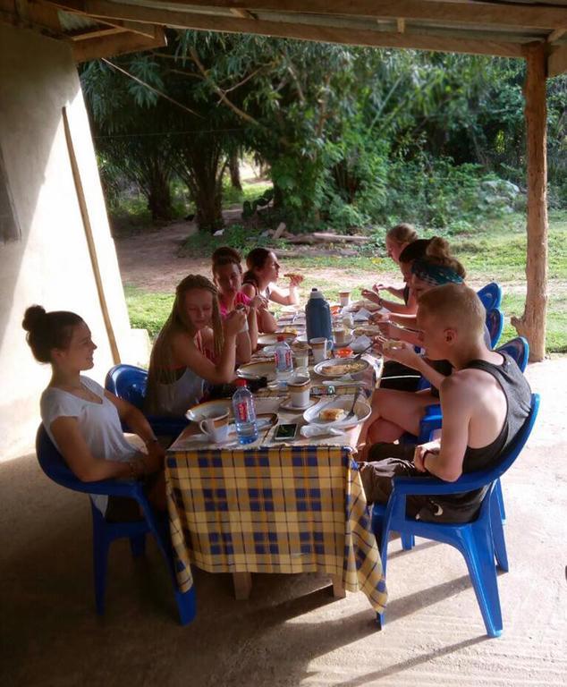 Wli Afegame Wli Waterfalls Inn מראה חיצוני תמונה