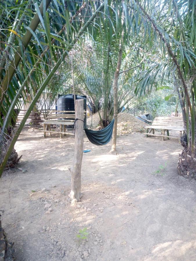 Wli Afegame Wli Waterfalls Inn מראה חיצוני תמונה